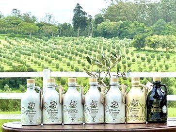 Marca de azeite de oliva gaúcha é eleita a nona agroindústria mais premiada do mundo