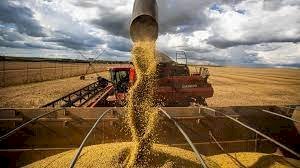 Conab prevê produção de grãos em 306,4 milhões de toneladas na safra 2023/24