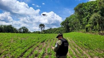 Operação do Batalhão Ambiental utiliza drones para fiscalização de desmatamento