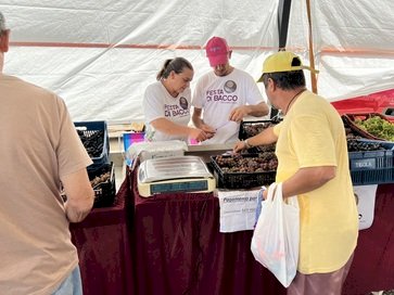Festa di Bacco 2024 valoriza produtores rurais e cultura italiana
