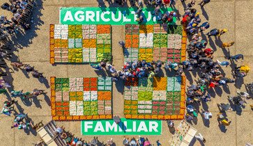 Alto Uruguai: Conab formaliza aquisição de alimentos de agricultores familiares para combate à fome