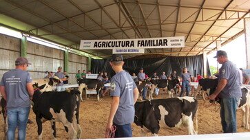 Dia de Campo e 15ª edição do Clube da Bezerra reúne cerca de 150 pessoas em São Valentim