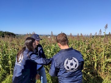 UFFS realiza evento Agronomia em Campo no dia 13