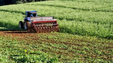 Governo de Ipiranga do Sul fortalece agricultura local em meio a desafios econômicos