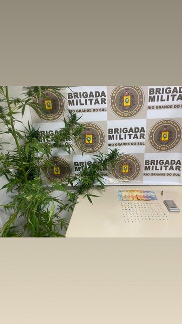 Dois homens são presos pela BM por tráfico de drogas! Na residência havia um pé de maconha medindo 2,20m!