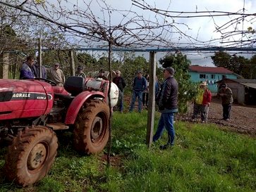 Floriano Peixoto promove capacitação de viticultores