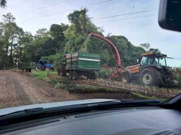 Ipiranga do Sul - Intensificadas as ações na agricultura