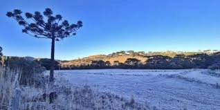 Sul do país deve ter frio intenso e geada no fim de semana