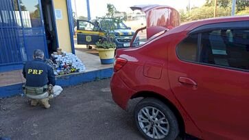 PRF intercepta carregamento de 73 quilos de maconha