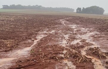 Ipiranga do Sul decreta novamente situação de emergência devido às chuvas
