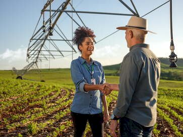 Sicredi disponibiliza R$ 66,5 bilhões no Plano Safra 2024/2025