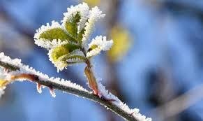 Onda de frio continua no RS: dias ainda mais gelados estão por vir