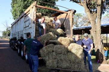 Emater/RS-Ascar mobiliza ações de reconstrução no RS
