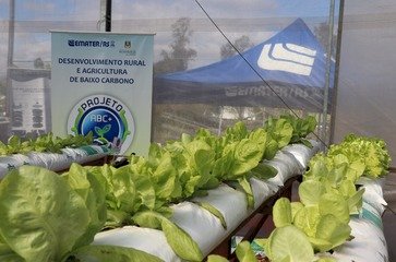 Expointer - Emater/RS-Ascar apresenta técnicas de produção sustentáveis e inovadoras na parcela da Olericultura