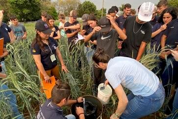 Professores participam Jornada do Curso Técnico em Agricultura de Viadutos