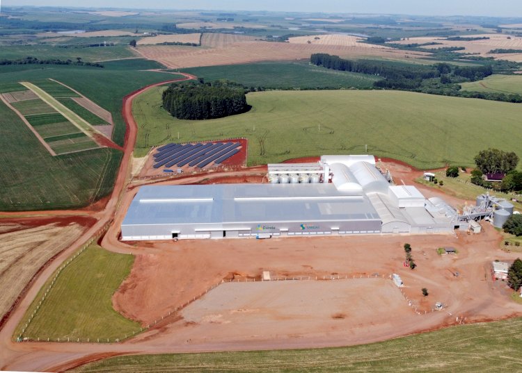 Sementes Estrela opera 100% com energia solar e garante sustentabilidade