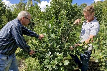 Professor da URI desenvolve práticas inovadoras e conquista reconhecimento estadual