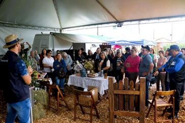 Fenasoja 2024: Visitas guiadas apresentam políticas públicas e tecnologias a agricultores do Noroeste Gaúcho