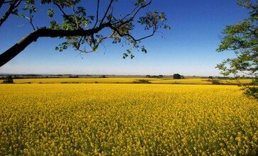 Verão terá redução de chuvas no Rio Grande do Sul