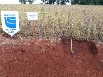 Calagem do solo potencializa produção e lucratividade das lavouras