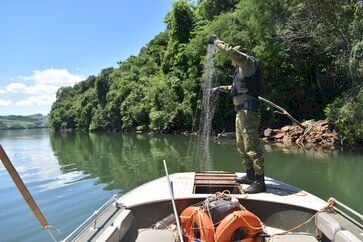Batalhão Ambiental apreende redes e liberta peixes em Aratiba