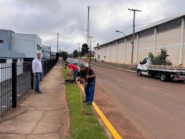 Ipiranga do Sul reforça compromisso ambiental com plantio de árvores em ruas da cidade