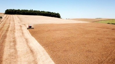 Abertura da Colheita da Soja é realizada em Ipiranga do Sul