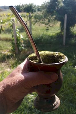 Chimarrão: Símbolo de Identidade, Tradição e História Gaúcha