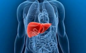 Conheça seis alterações na pele que podem ser um alerta sobre gordura no fígado