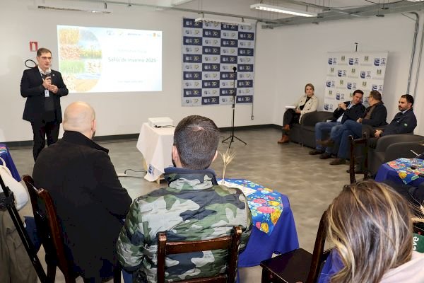 Canola é destaque da safra de inverno no RS