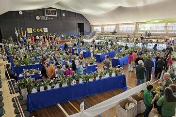 Segunda Exposição e Feira de Orquídeas será realizada neste fim de semana na URI Erechim