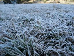 Saiba como será o inverno no Rio Grande do Sul