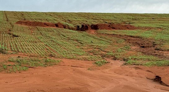 Chuvas prejudicam lavouras e atrasam plantio da safra de inverno no RS
