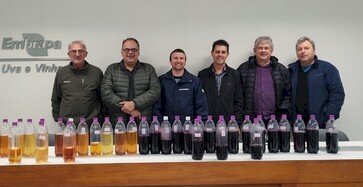 Agricultura familiar é destaque em Concurso do Vinho Artesanal em Bento Gonçalves