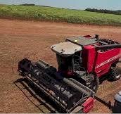 Ipiranga do Sul sedia evento técnico com foco em inovação e sustentabilidade na produção de soja