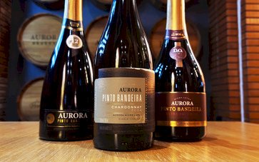 Cooperativa Vinícola Aurora soma 45 medalhas até julho e se aproxima das mil premiações