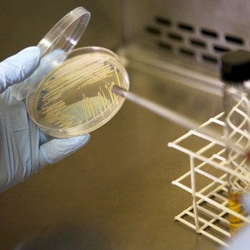 Seminário da Embrapa discute insumos biológicos na agricultura