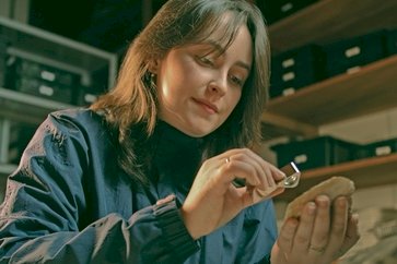 PALEONTOLOGIA - Franscinella riograndensis: nova interpretação revela planta de 296 milhões de anos da Bacia do Paraná com esporos preservados