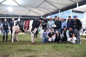 Associados da Santa Clara levam mais de 90 animais para a Expointer 2025 