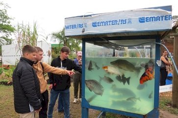 Expointer 2025: Emater/RS-Ascar ensina como ter sucesso na criação de peixes