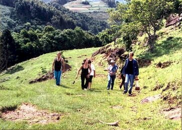 Décadas de pesquisa na Univates culminam em projeto narra a longa duração da história do Vale do Taquari em plataforma digital acessível