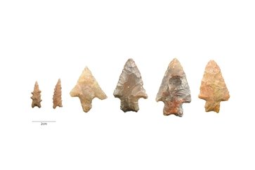 Décadas de pesquisa na Univates culminam em projeto narra a longa duração da história do Vale do Taquari em plataforma digital acessível