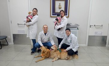 Ensino Medicina Veterinária da URI inicia projeto com cães terapeutas no Santa Terezinha