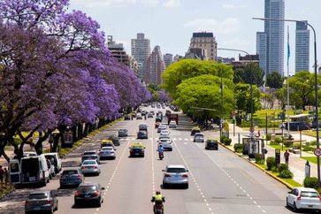 Buenos Aires florece: os planos imperdíveis para esta primavera
