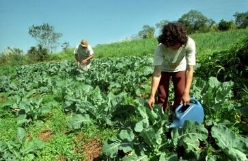 Dia Nacional da Agroecologia reforça importância do setor na agricultura familiar
