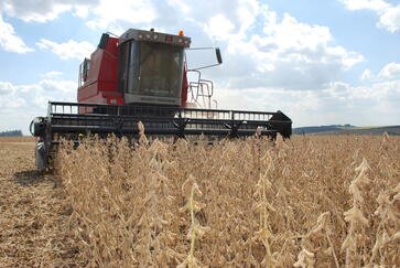 Rio Grande do Sul poderá ter safra recorde de grãos, estima Conab