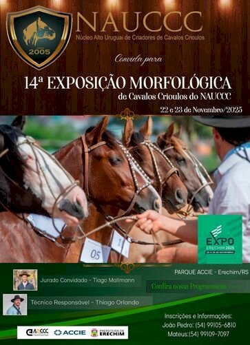 Cavalo Crioulo será destaque na Expo Erechim 2025 com provas e exposição morfológica promovidas pelo NAUCCC