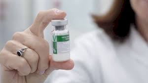 Vacina contra a dengue do Instituto Butantan começa a ser aplicada em janeiro de 2026 no Brasil