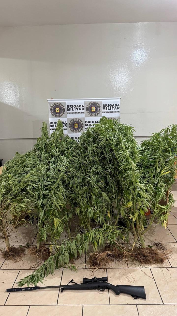 BM apreende pés de maconha e arma em Getúlio Vargas