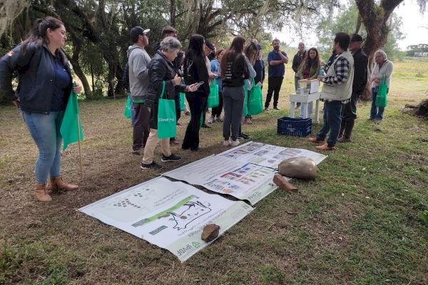 Controle do carrapato é um desafio para a pecuária gaúcha